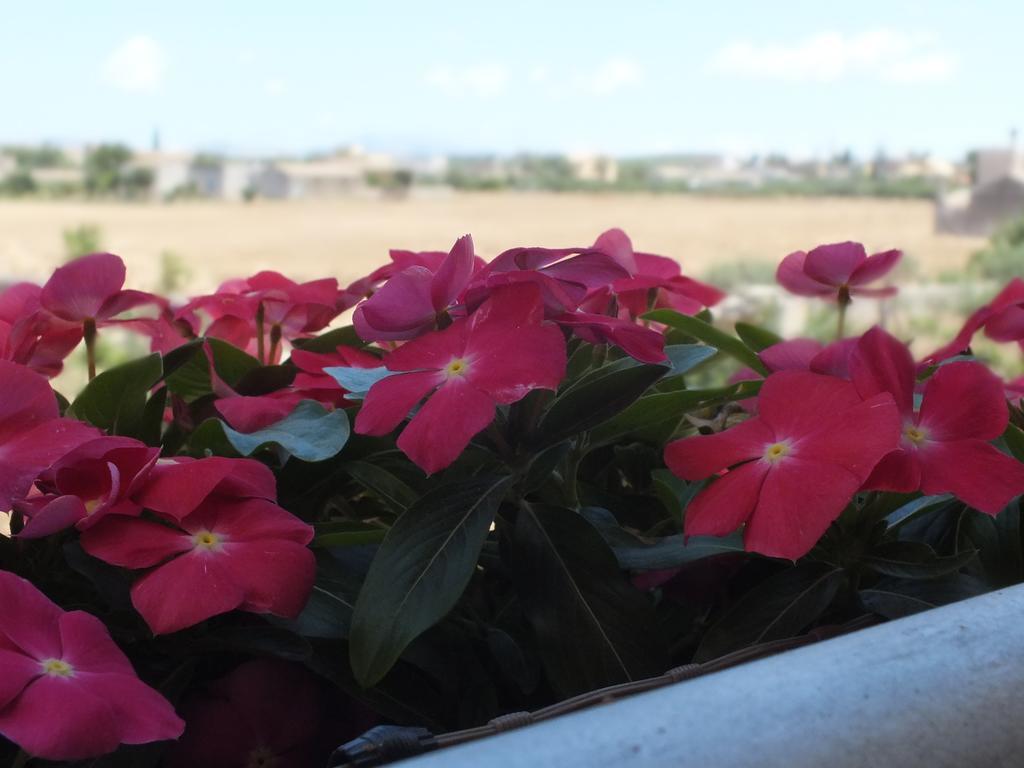 Siciliantica Bed & Breakfast Rilievo Exterior photo